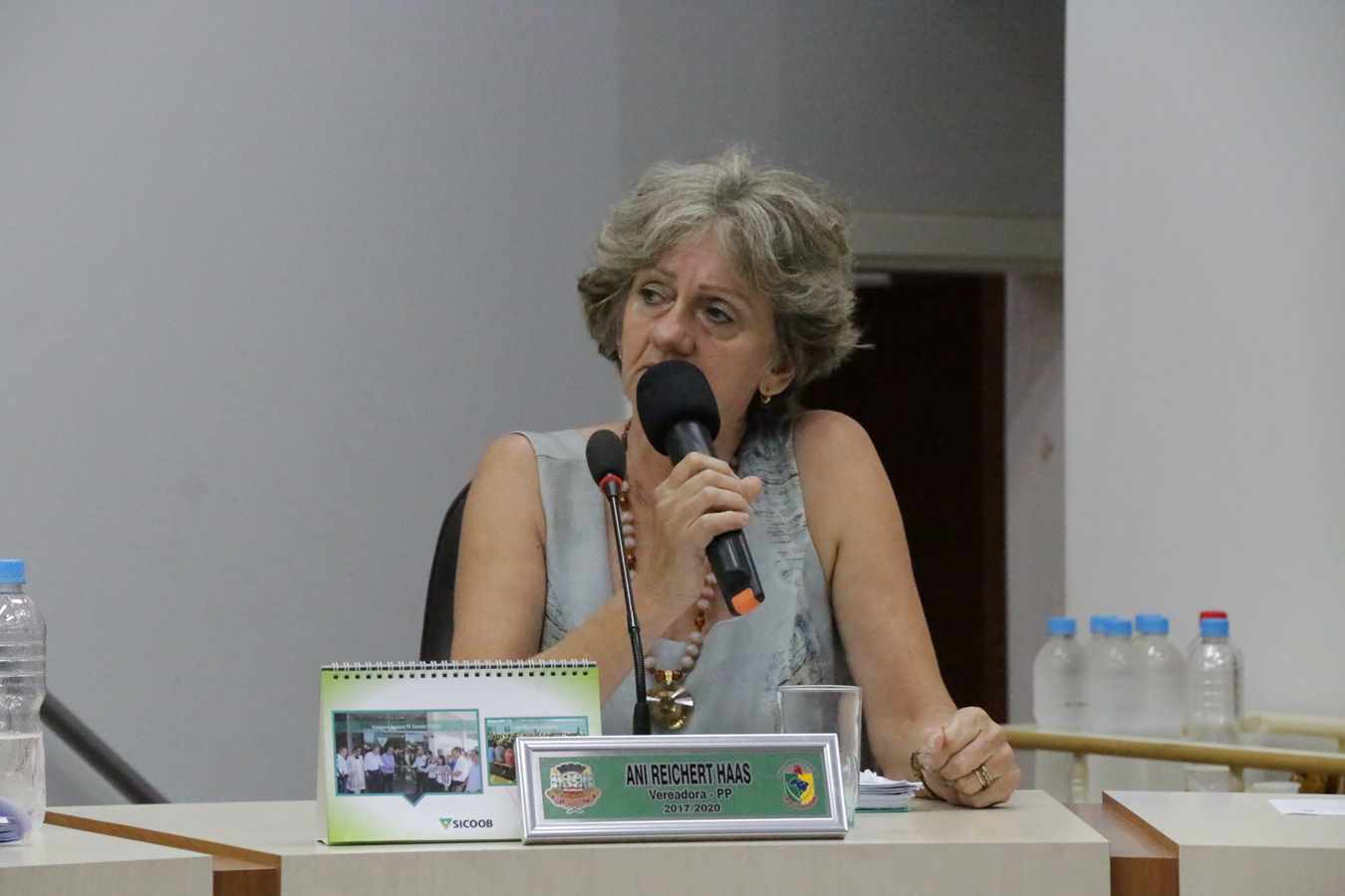 2ª Secretária Ani Haas.JPG